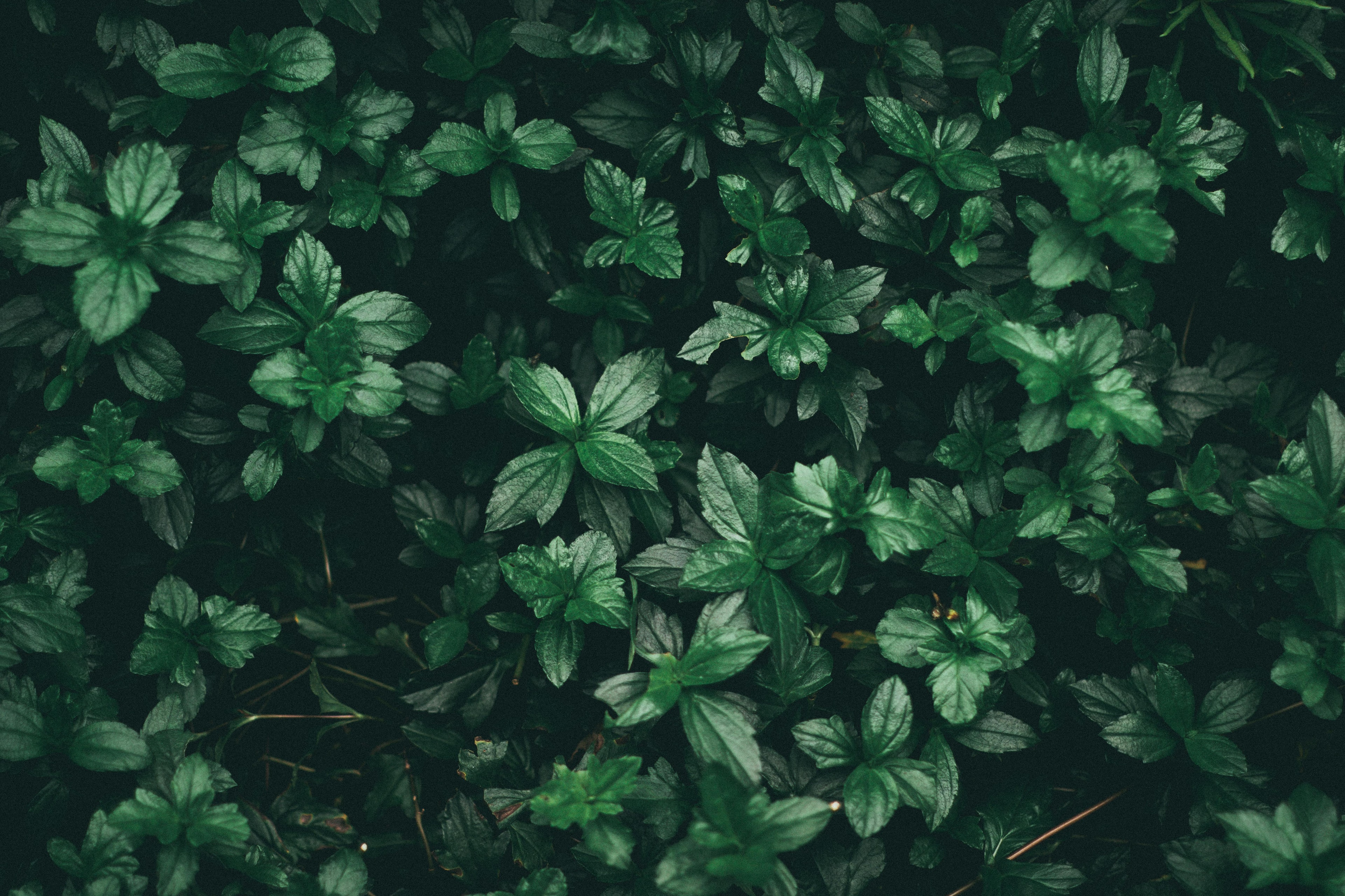 Hero Background
